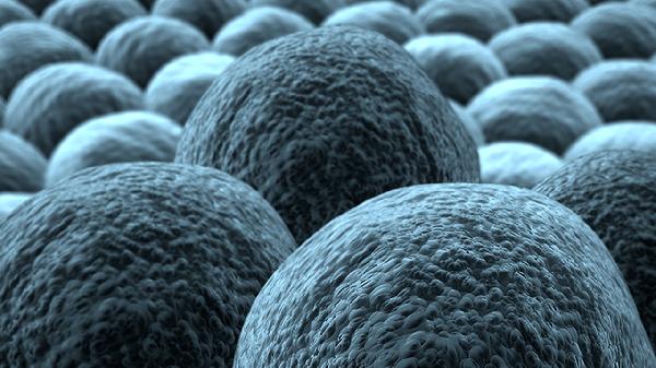 鼻病毒真的会引发癌症吗