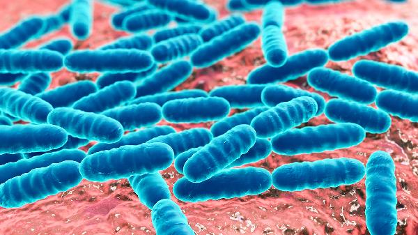 鼻病毒感染不治疗能自愈吗