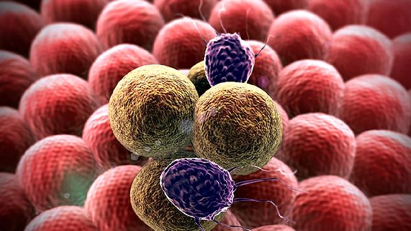 病毒性呼吸道感染常见有哪些症状