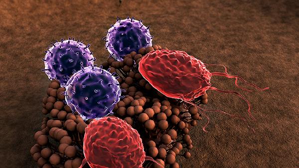 鼻病毒真的属于合胞病毒吗