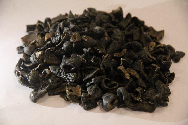 喝完中药后放屁特别臭是为什么