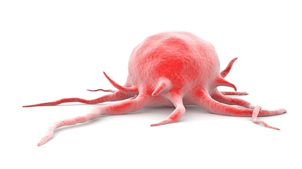 鼻病毒感染会引发发烧吗