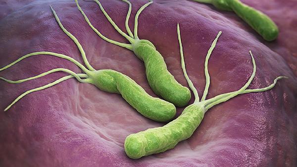 细菌感染能用奥司他韦颗粒吗