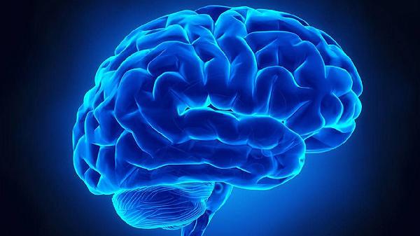 中医如何预防老年人脑萎缩