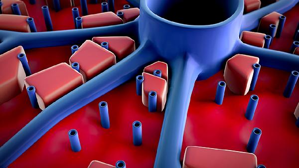 鼻病毒检测阳性意味着什么