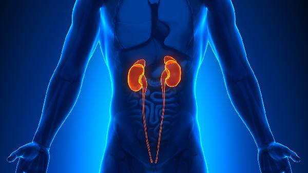 猪内脏和人内脏有什么区别