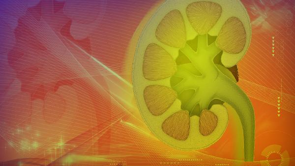 紫癜性肾病能用激素治疗吗