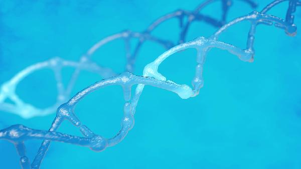 同源染色体真的完全一样吗