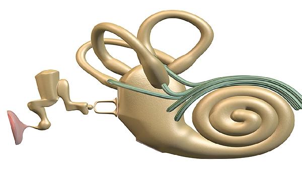 中医和西医治疗神经性皮炎哪个更有效