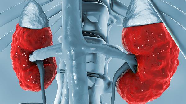 肾炎引起的疼痛怎么快速缓解