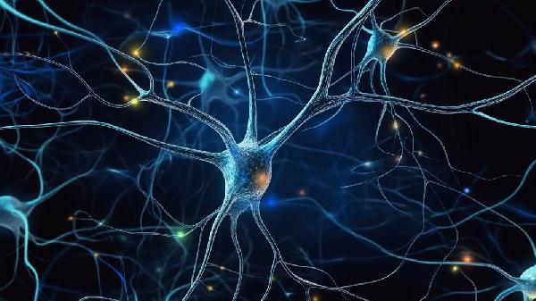 搓澡真的能缓解植物神经紊乱吗