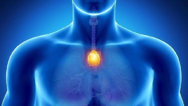 喉咙里长了个小疙瘩怎么回事