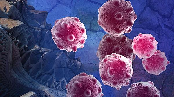 鼻病毒会再次感染人吗