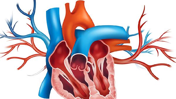 心脏供血不足怎么改善最有效