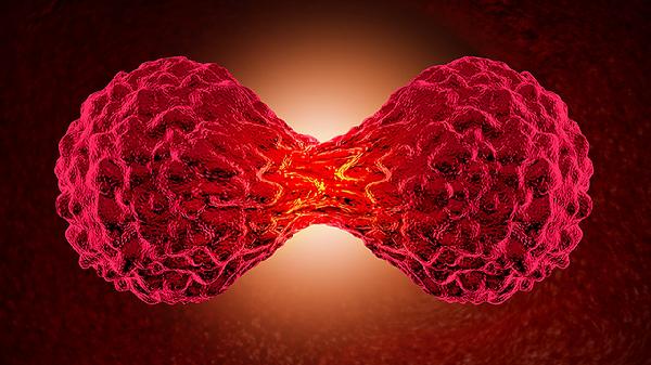 左上颌窦囊肿会带来哪些影响和风险