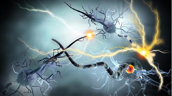 鼻病毒会引起普通感冒吗