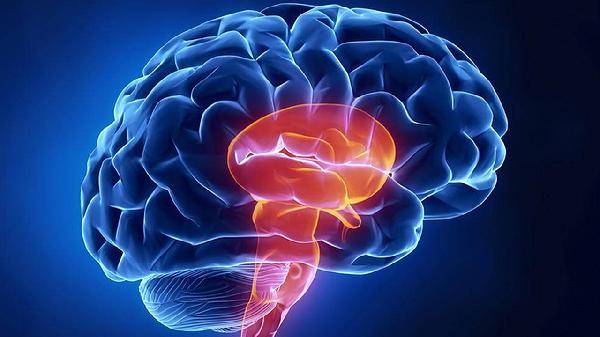 心脑供血不足是什么原因造成的