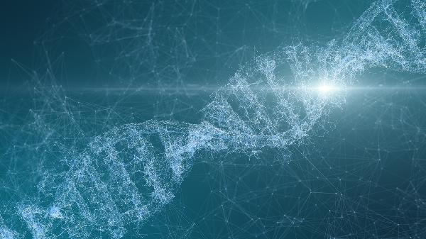 同源染色体上的基因真的一样吗