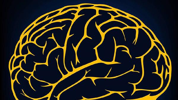 脑干损伤能通过脑部CT检查发现吗